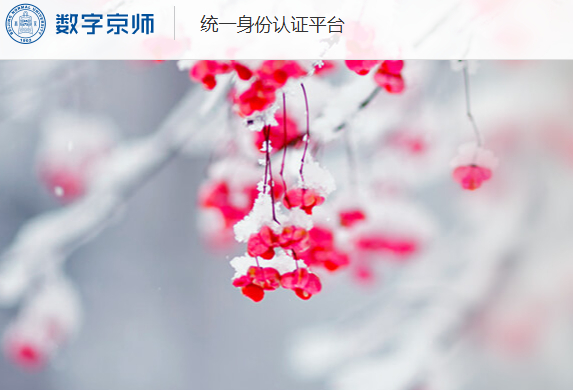 数字京师