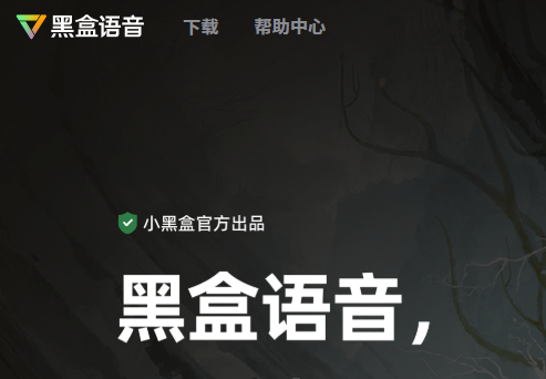 黑盒语音