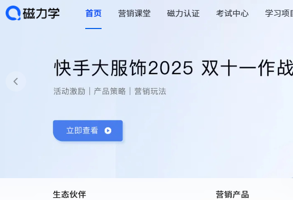 磁力学