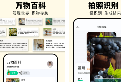 识万物扫一扫